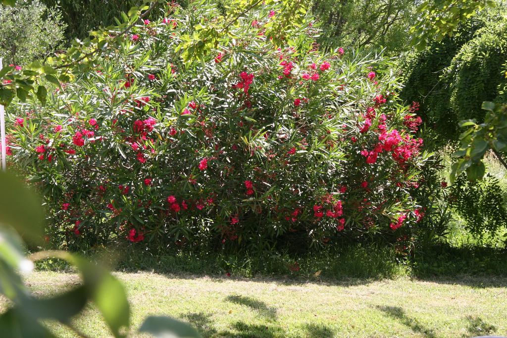 Combas  Villa Hanna מראה חיצוני תמונה